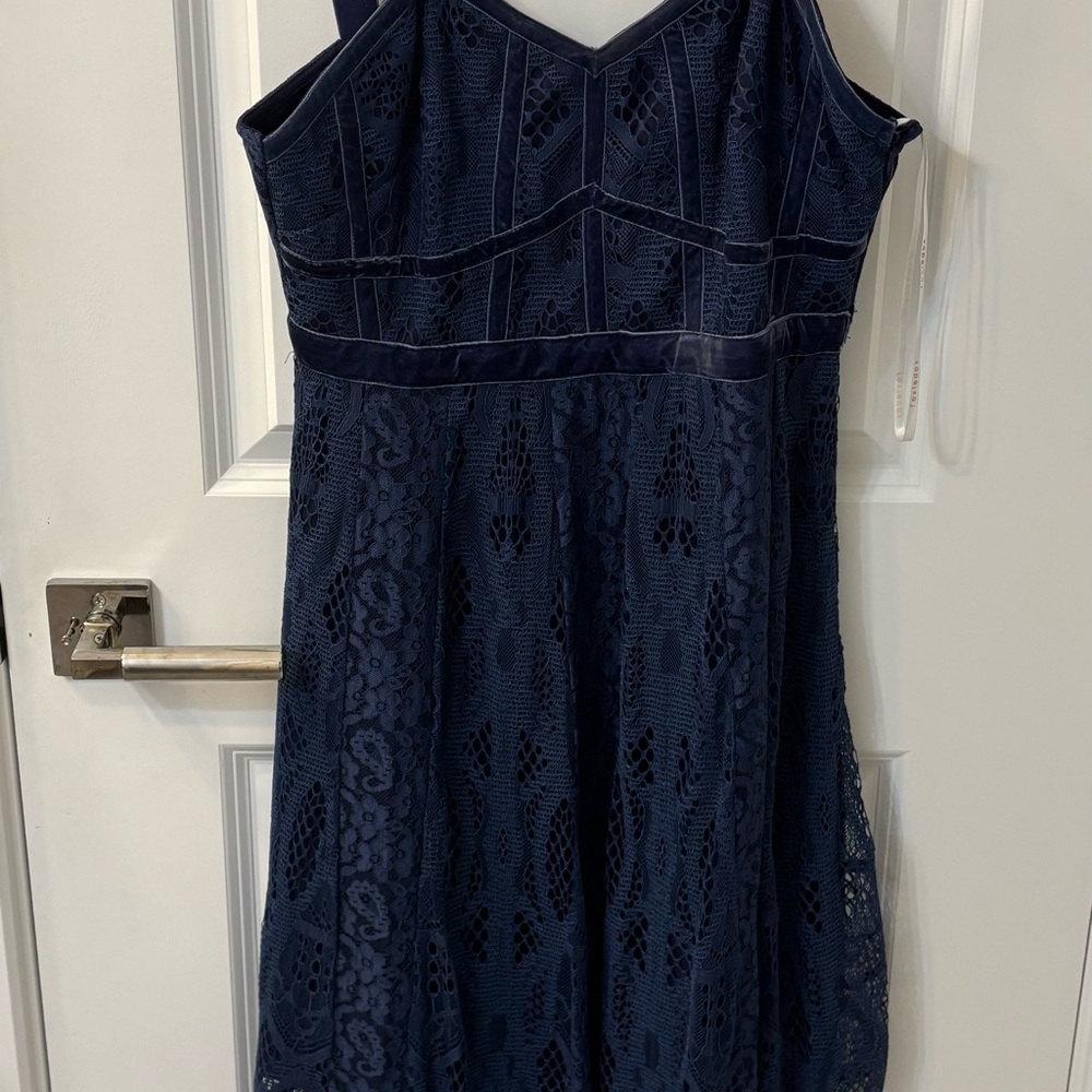 Elegant Navy Lace Dress